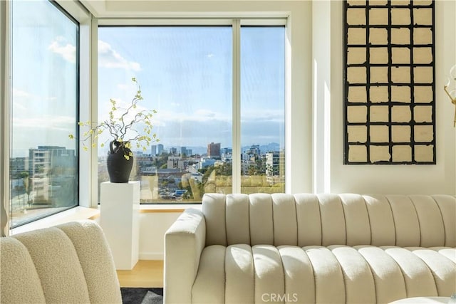 living room featuring wood finished floors, a city view, and plenty of natural light