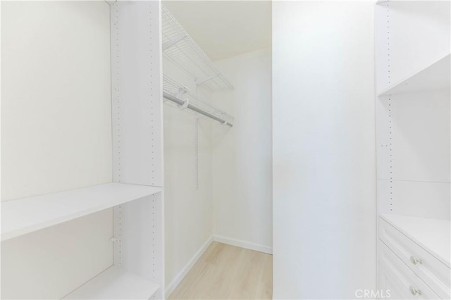 spacious closet with light wood-style flooring
