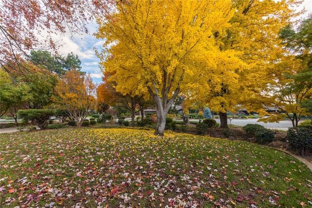 650 Crimson Ct, Chico, CA 95973 - view of property's community