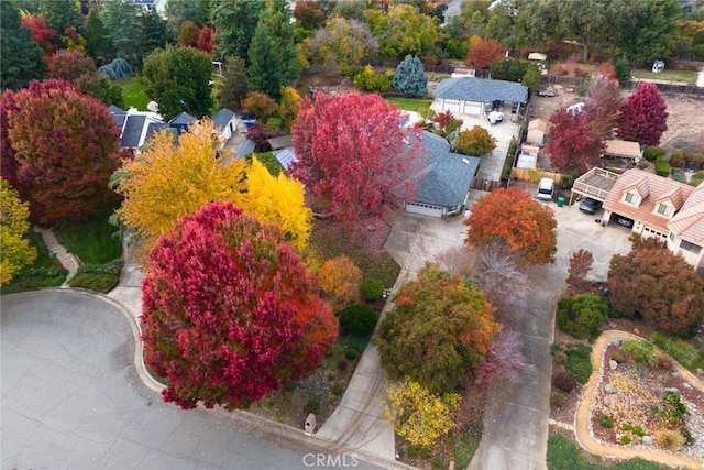 bird's eye view
