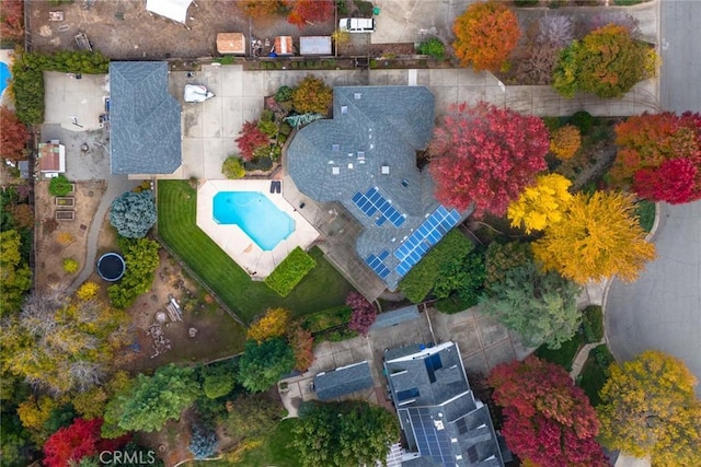 bird's eye view