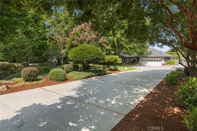 obstructed view of property with an attached garage and concrete driveway