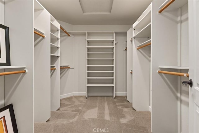 650 Crimson Ct, Chico, CA 95973 - walk in closet featuring carpet flooring and attic access
