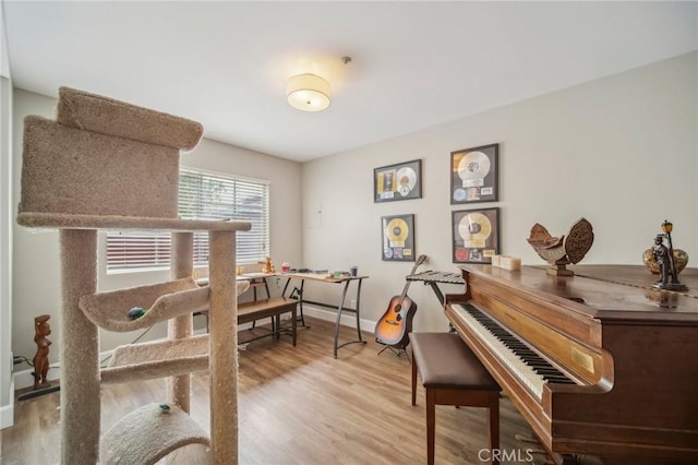 living area with baseboards and wood finished floors