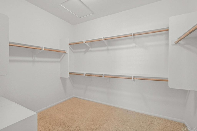 1450 Oakpoint Ave, Chula Vista, CA 91913 - walk in closet with carpet flooring and attic access