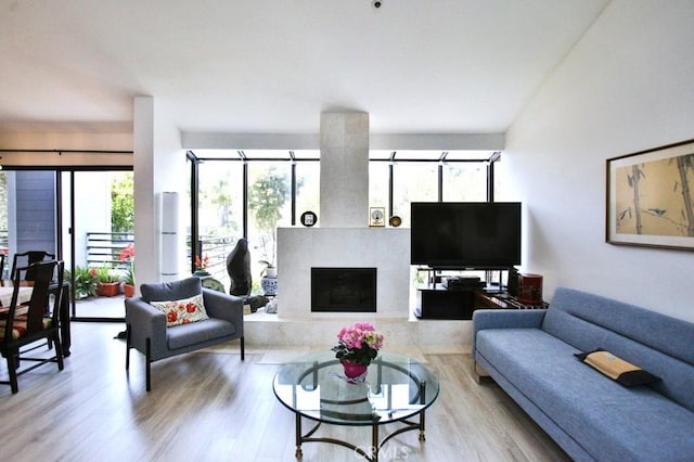 living area featuring a fireplace and wood finished floors