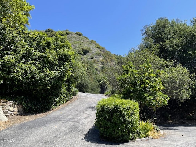 16749 Maricopa Hwy, Ojai, CA 93023 - photo 16