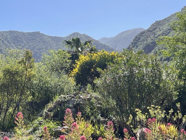 16749 Maricopa Hwy, Ojai, CA 93023 - photo 20