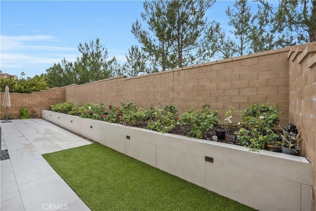 view of yard featuring a patio area and a fenced backyard