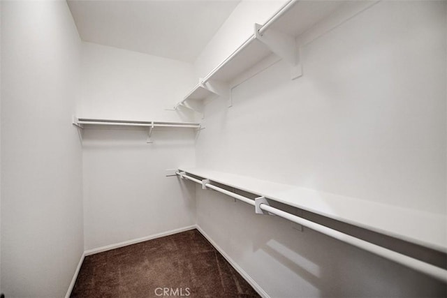 walk in closet featuring dark colored carpet