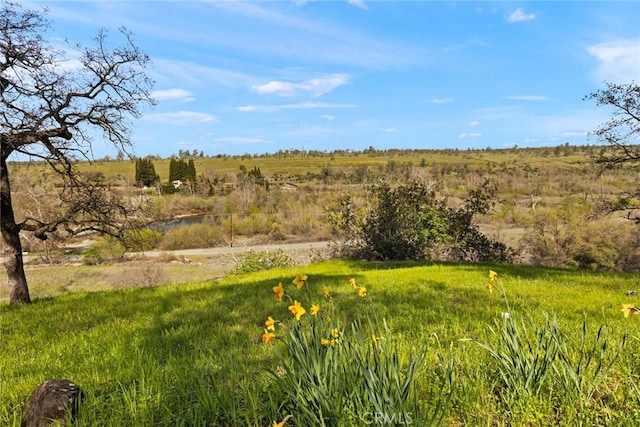 79 Alm Bluffs Dr, Chico, CA 95928 - photo 49