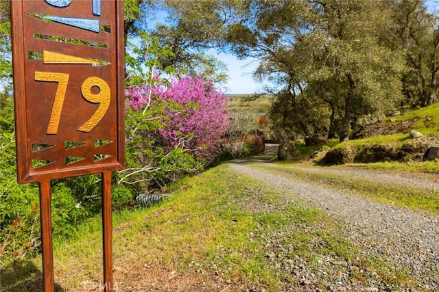 79 Alm Bluffs Dr, Chico, CA 95928 - photo 54