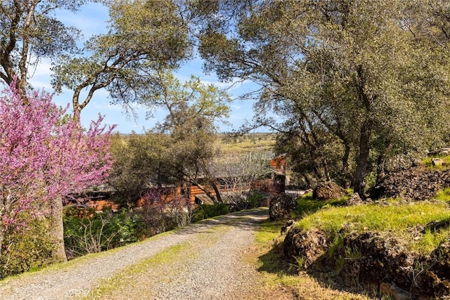 79 Alm Bluffs Dr, Chico, CA 95928 - photo 45