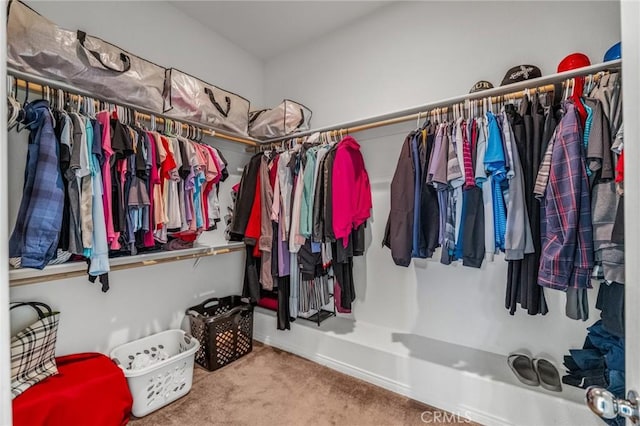 7625 Pinon Dr, Yucca Valley, CA 92284 - walk in closet featuring carpet floors
