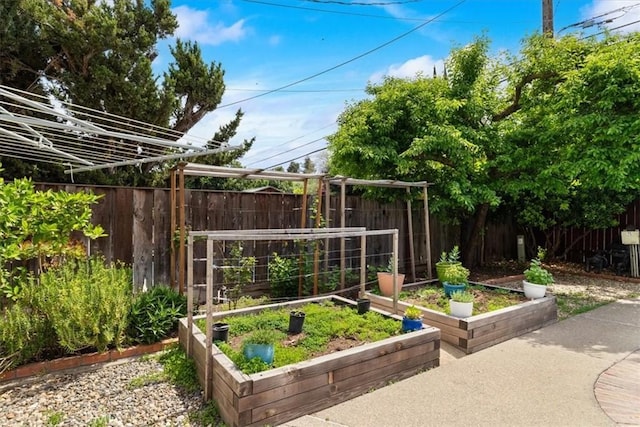 view of play area with a vegetable garden and a fenced backyard