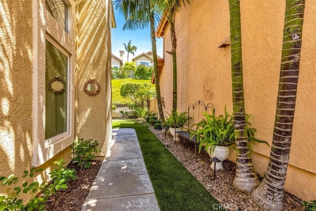 9 Gema, San Clemente, CA 92672 - view of yard
