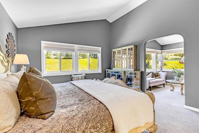 9 Gema, San Clemente, CA 92672 - bedroom featuring lofted ceiling, carpet, multiple windows, and arched walkways