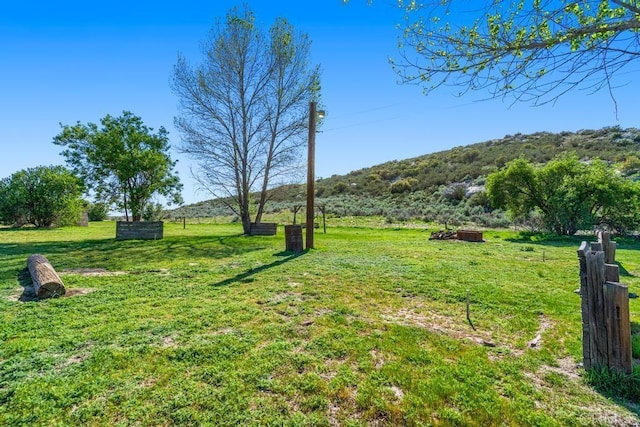 2815 Miller Valley Rd, Pine Valley, CA 91962 - view of grassy yard