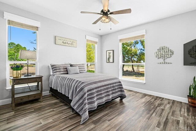 2815 Miller Valley Rd, Pine Valley, CA 91962 - photo 16