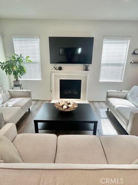 2819 La Calle Sabio Ave, Rosamond, CA 93560 - living room featuring wood finished floors and a fireplace