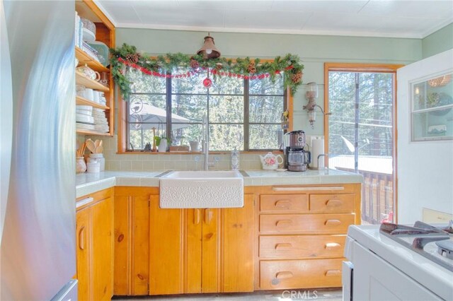 1154 Lark Rd, Wrightwood, CA 92397 - photo 7