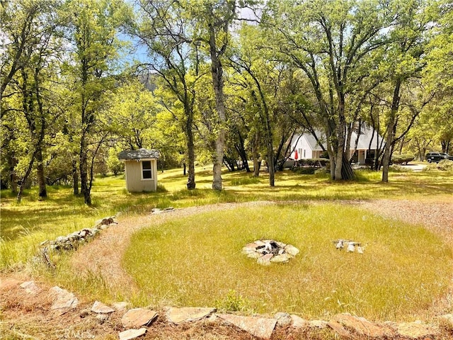 view of yard with an outbuilding and a shed