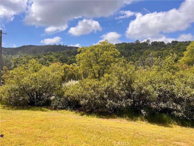 view of mountain feature featuring a wooded view