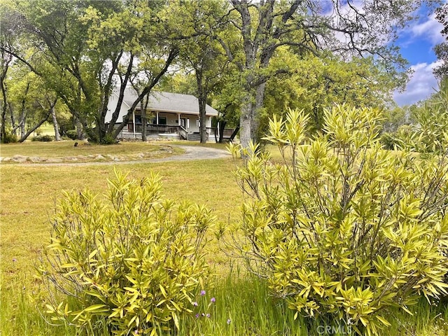 view of yard featuring a porch