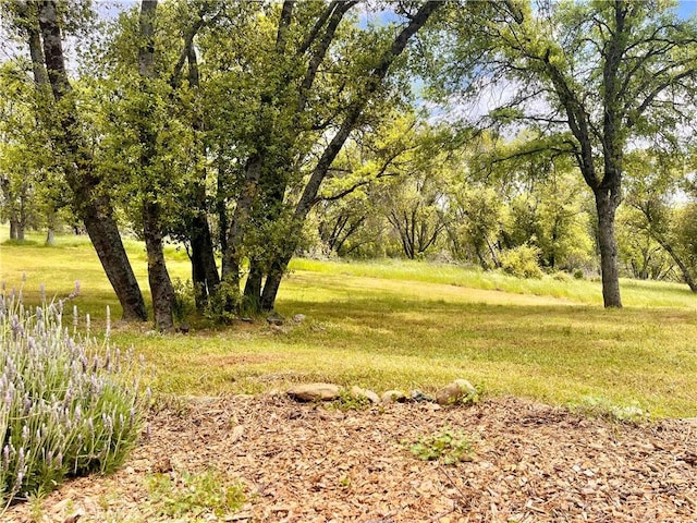 view of landscape
