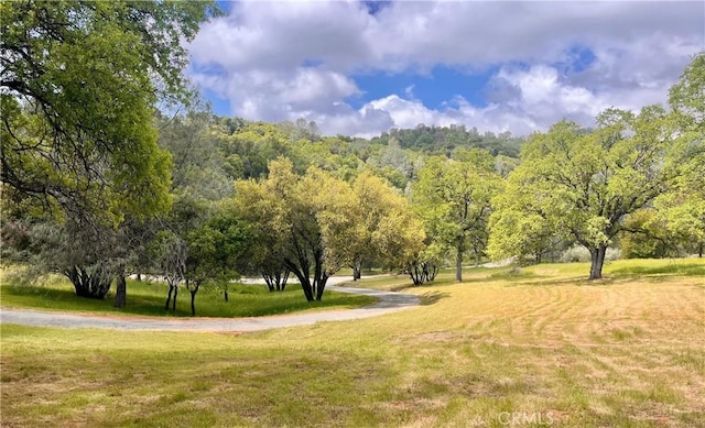 view of home's community featuring a lawn