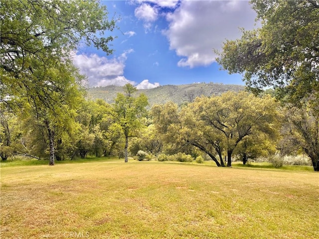property view of mountains featuring a forest view