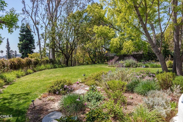 233 Hillside Rd, South Pasadena, CA 91030 - view of yard