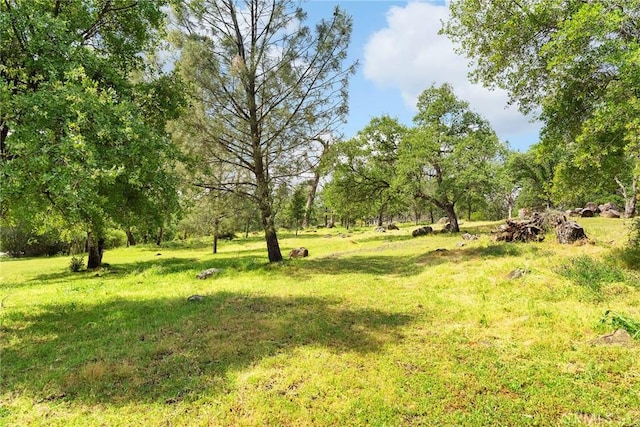 43 Zepher Way, Oroville, CA 95966 - photo 39