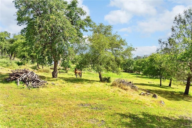 43 Zepher Way, Oroville, CA 95966 - view of undeveloped land featuring rural landscape