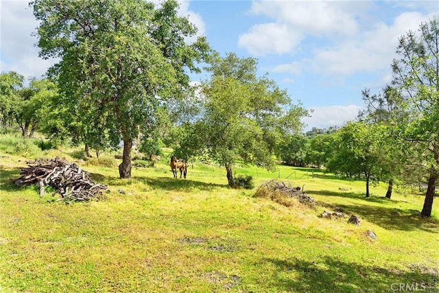 43 Zepher Way, Oroville, CA 95966 - photo 44
