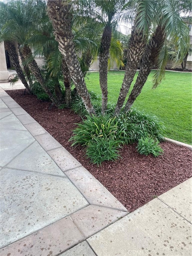 9033 Mandarin Ave, Rancho Cucamonga, CA 91701 - view of grassy yard