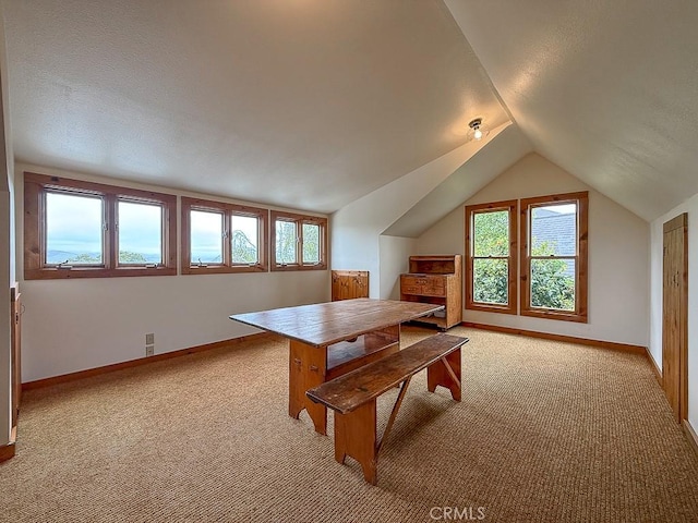 interior space with baseboards, lofted ceiling, and light colored carpet