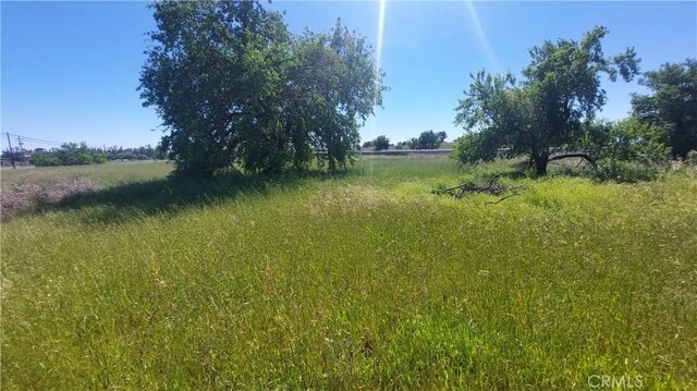 2915 S 99w, Corning, CA 96021