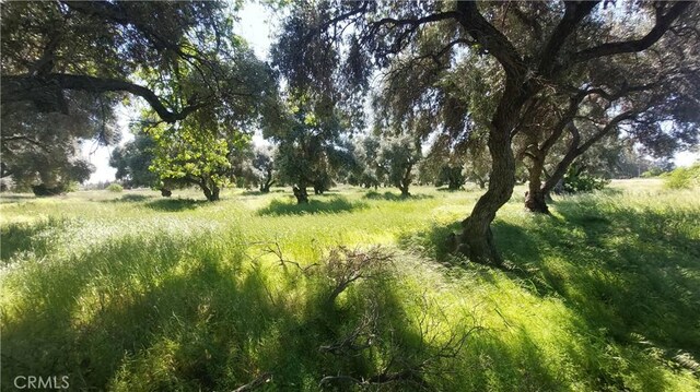 2915 S 99w, Corning, CA 96021