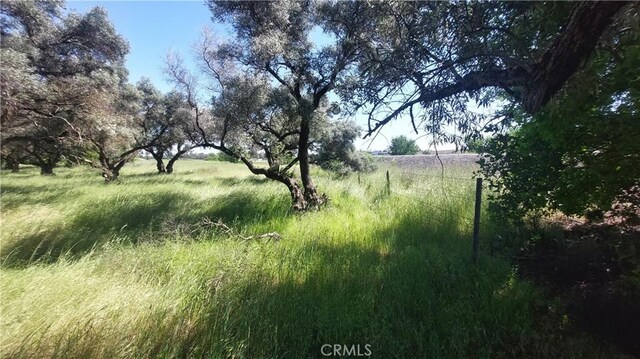2915 S 99w, Corning, CA 96021