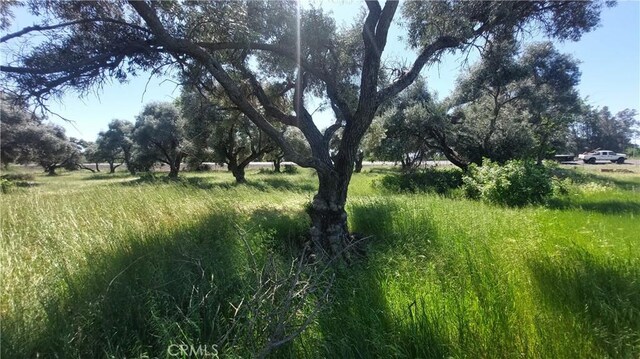 2915 S 99w, Corning, CA 96021
