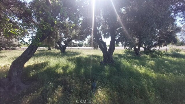 2915 S 99w, Corning, CA 96021