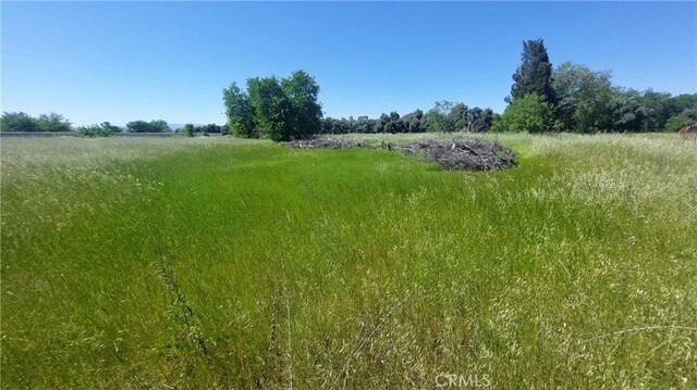 2915 S 99w, Corning, CA 96021