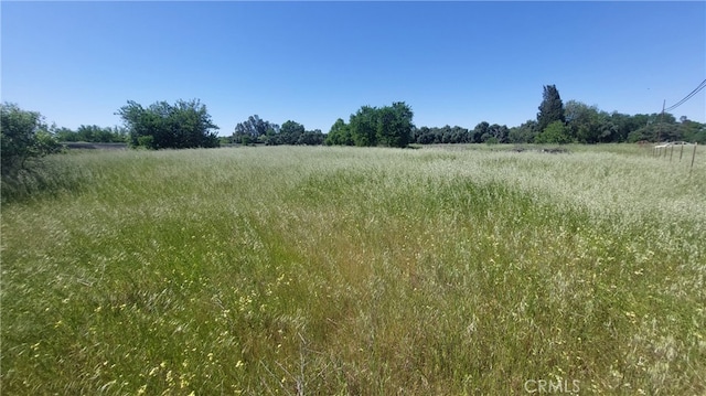 2915 S 99w, Corning, CA 96021