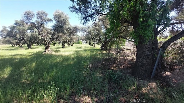 2915 S 99w, Corning, CA 96021