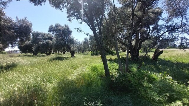 2915 S 99w, Corning, CA 96021