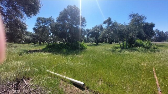 2915 S 99w, Corning, CA 96021