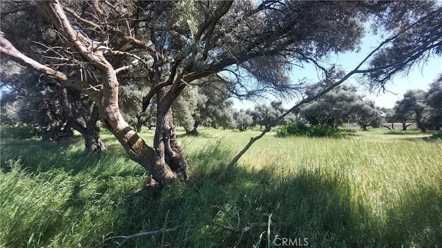 2915 S 99w, Corning, CA 96021