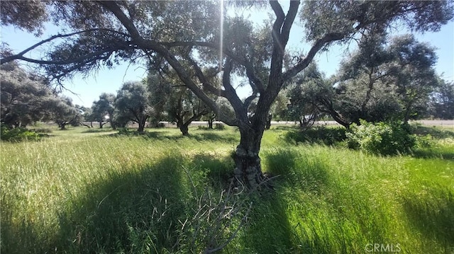 2915 S 99w, Corning, CA 96021