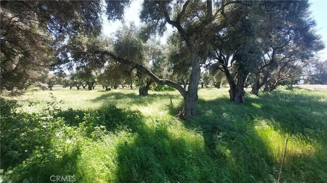 2915 S 99w, Corning, CA 96021